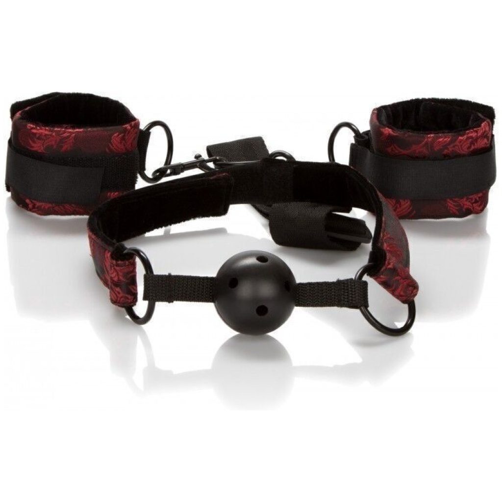 Bavaglio Ball Gag traspirante con polsini